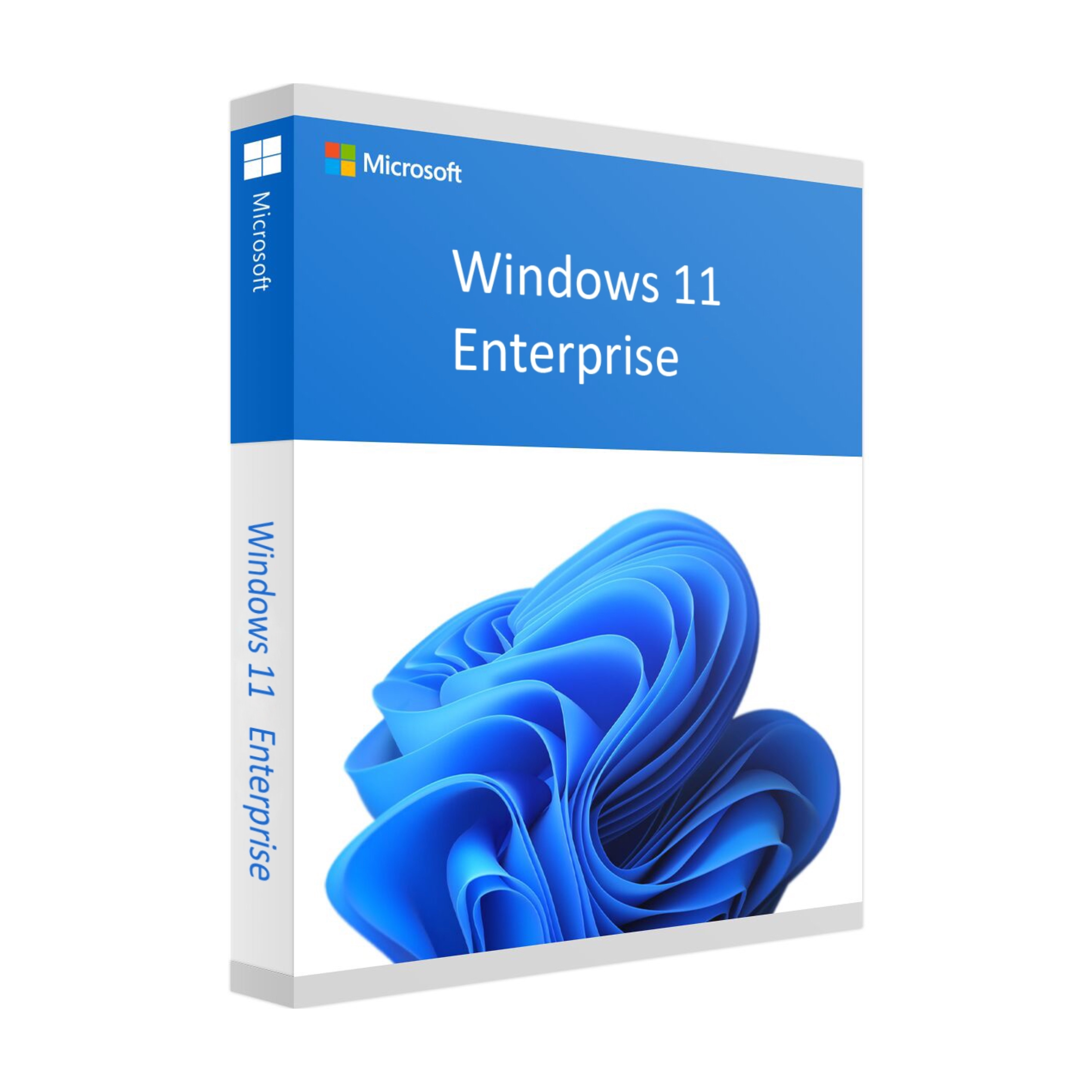 Microsoft Windows 11 Enterprise | 1 copia
