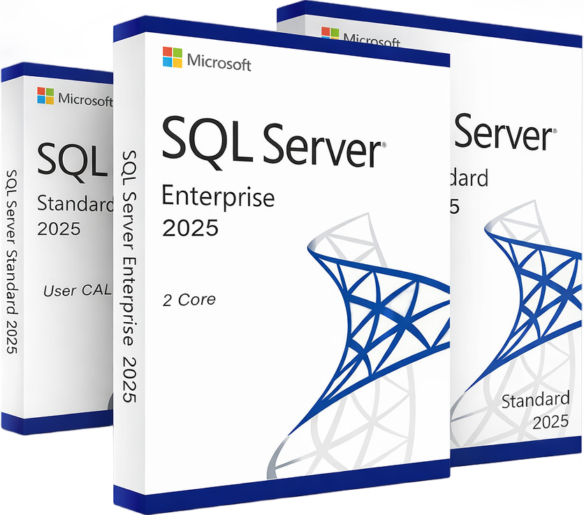 soluzioni-per-server-e-database-destinate-ad-aziende,-organizzazioni-e-ambienti-it-professionali.