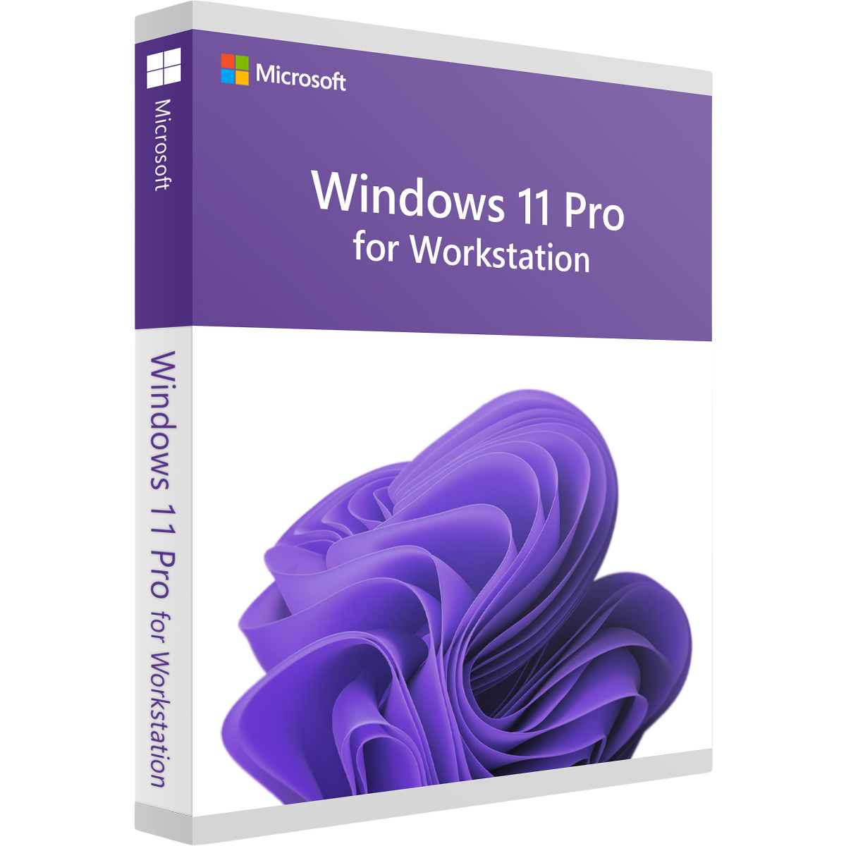 Microsoft Windows 11 Pro for Workstations – Licenza perpetua