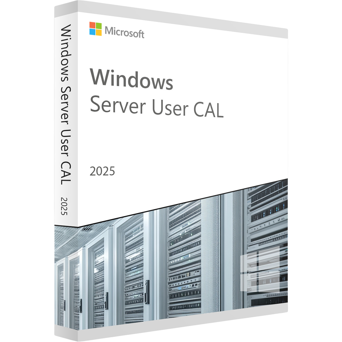 CAL / Licenze di accesso